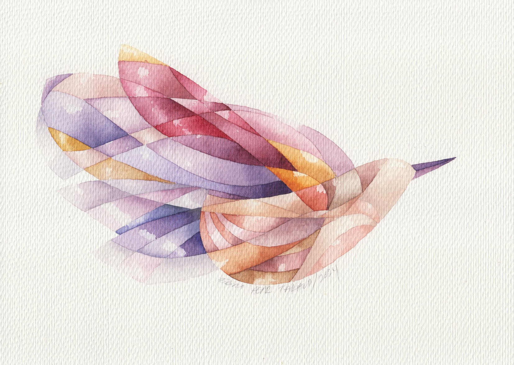 Ebru Acar Taralp | Kağıt üzerine sulu boya | Şeker Kuşu