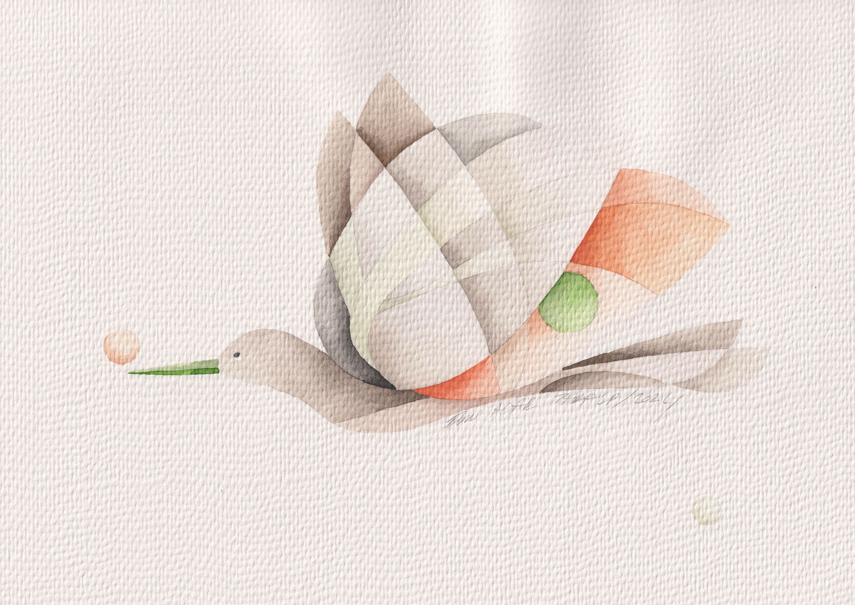 Ebru Acar Taralp | Kağıt üzerine sulu boya | Turuncu Işıldayan Yeşil Gagalı Kuş