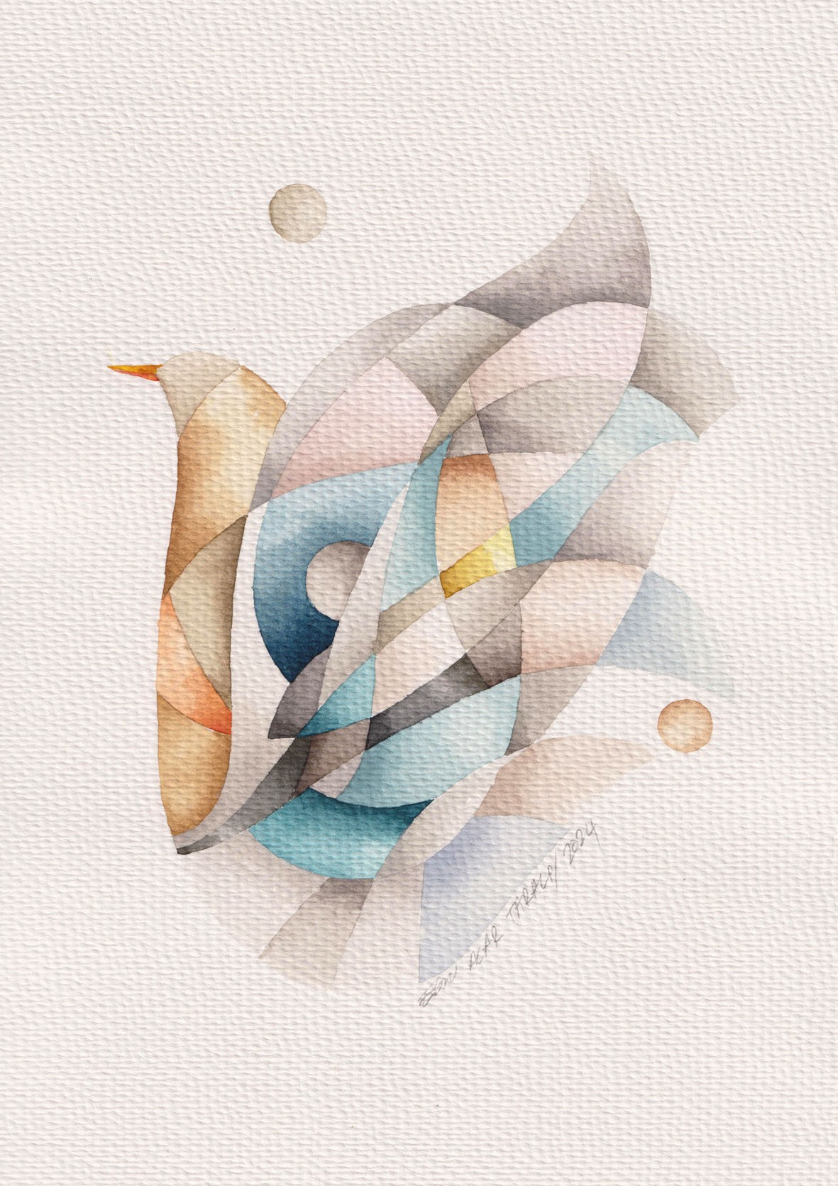 Ebru Acar Taralp | Kağıt üzerine sulu boya | Rustik Kuğu