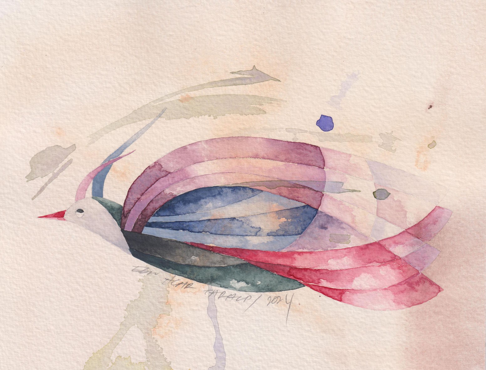 Ebru Acar Taralp | Kağıt üzerine sulu boya | Sülün