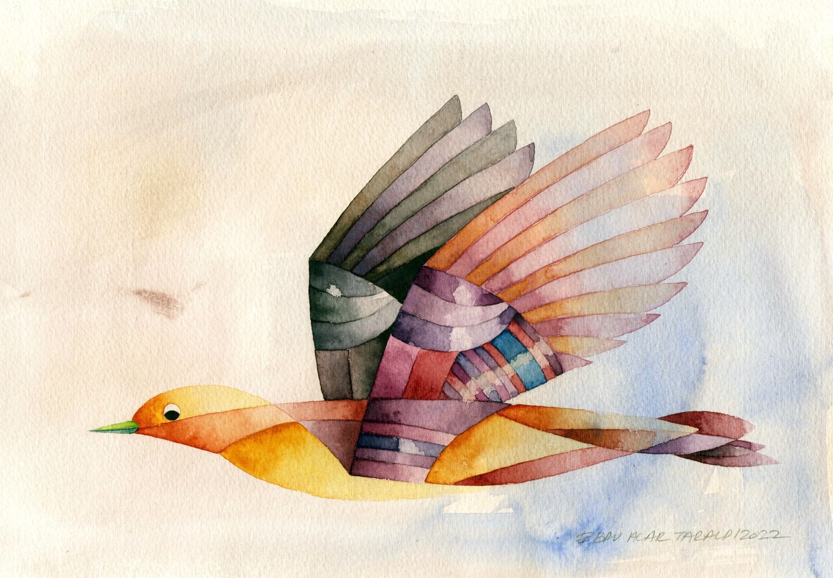 Ebru Acar Taralp | Kağıt üzerine suluboya | Perseus'un Miğferini Taşıyan Kuş