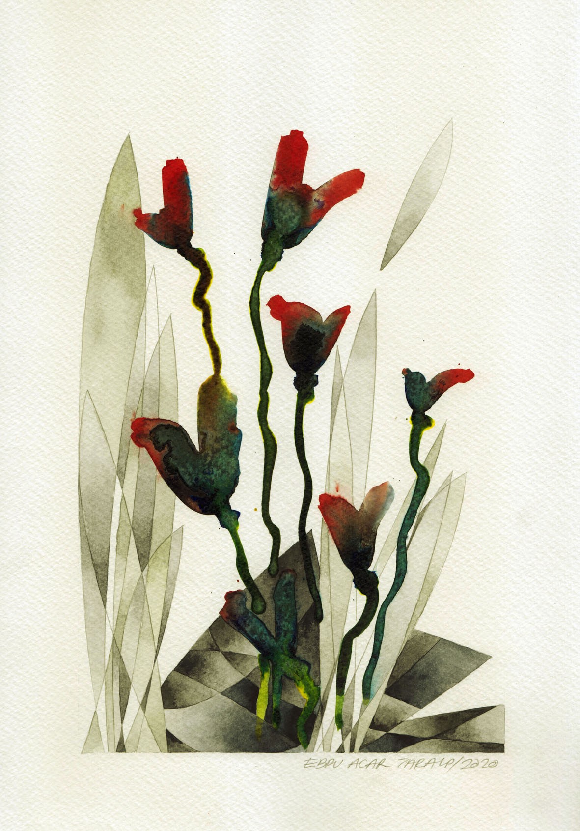 Ebru Acar Taralp | Sulu boya Resim | Kırmızı Çiçekler