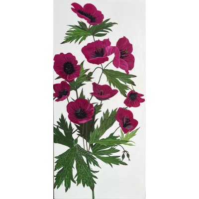 Geranium Psilostemon I