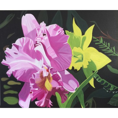 Tabiatın Güzelleri Orkideler