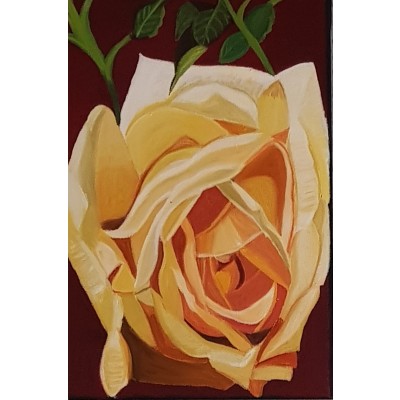 Bahar Çiçekleri Serisi