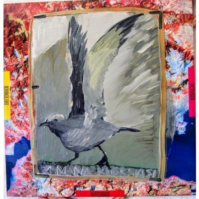 Zamana Kuş Bakışı