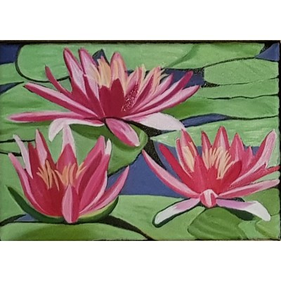 Lotus Çiçeği Serisi