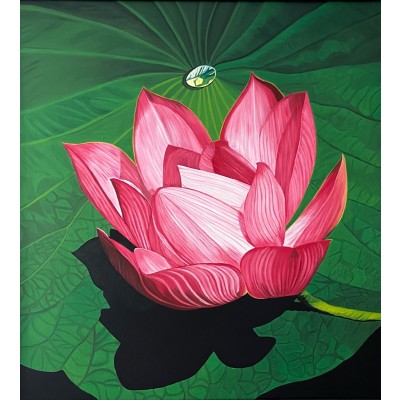 Lotus