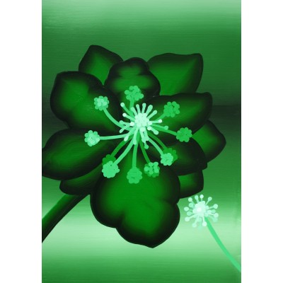 Tabiat Okumaları IV