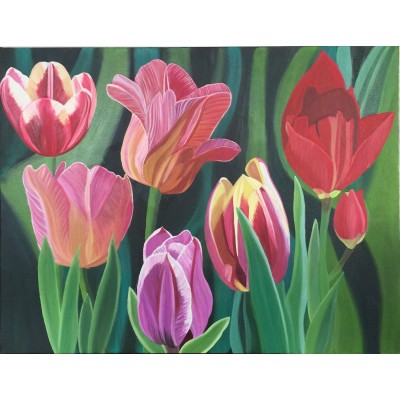 Doğanın Güzelleri Laleler