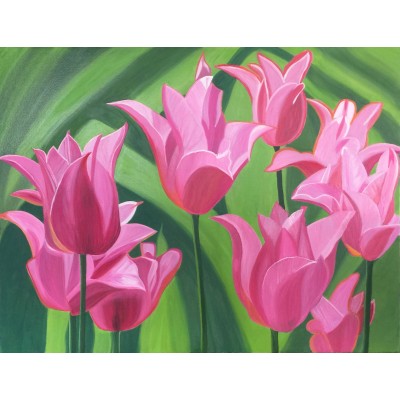 Doğanın Güzelleri Laleler II