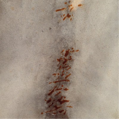 Sözler ve İzler 12