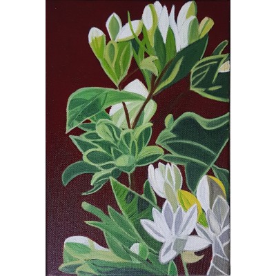 Bahar Çiçekleri Serisi