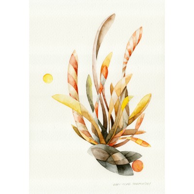 Deniz Altında Yaşam 15