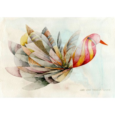 Kar Bulutlarının Üzerinde Uçmayı Seven Kuş