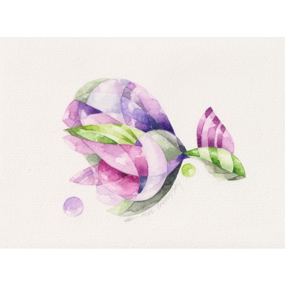 Kontrast Balon Balığı