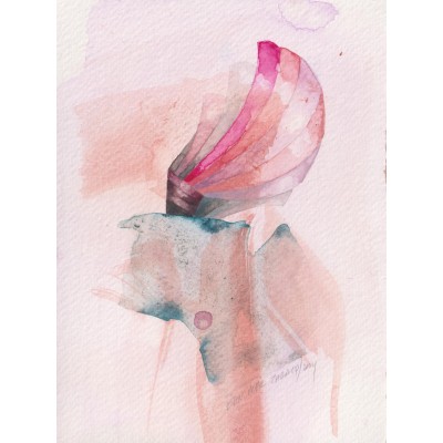 Pembe Kanadın Yumurtası