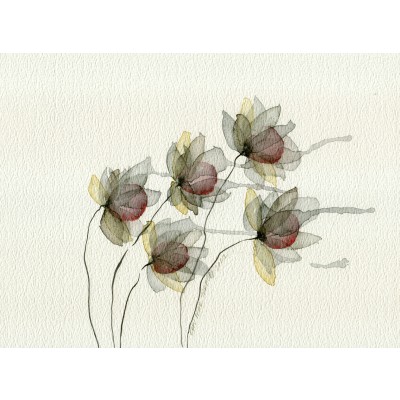 Rüzgar ve Çiçekler - 21