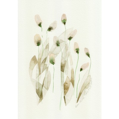 Şifon Doğa Serisi 8