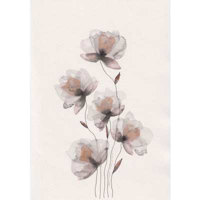 Siyah-Beyaz Doğa 08