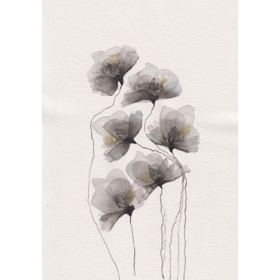 Siyah-Beyaz Doğa 11