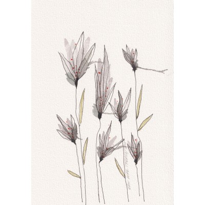 Siyah-Beyaz Doğa 12