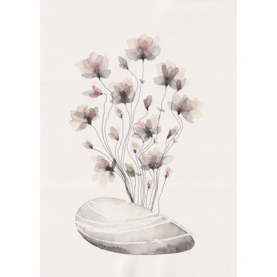 Taşta Canlanan Yosun Çiçekleri 2