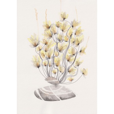 Taşta Canlanan Yosun Çiçekleri 6