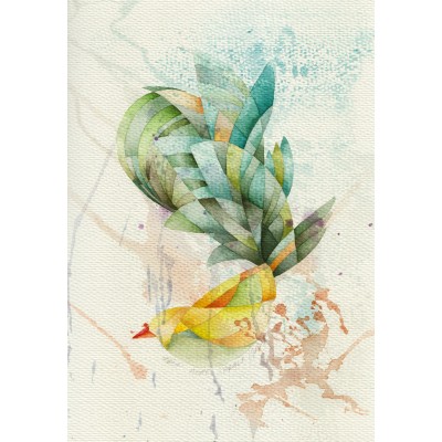 Tavus Kuşuna Özenen Serçe