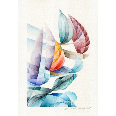 Yarışan Yatlar Ve Balık